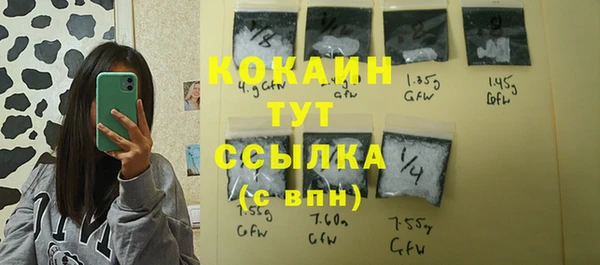сатива Арсеньев