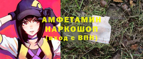 твердый Алексин