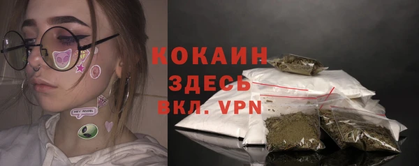 ешки Аркадак