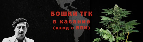 сатива Арсеньев