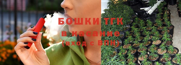 гашик Алексеевка