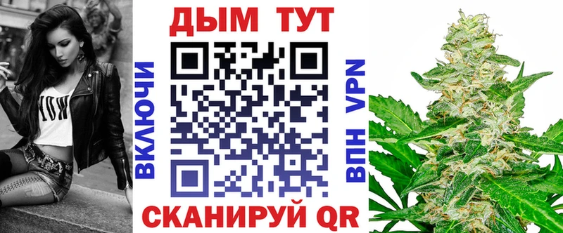 где купить   Бийск  Шишки марихуана VHQ 